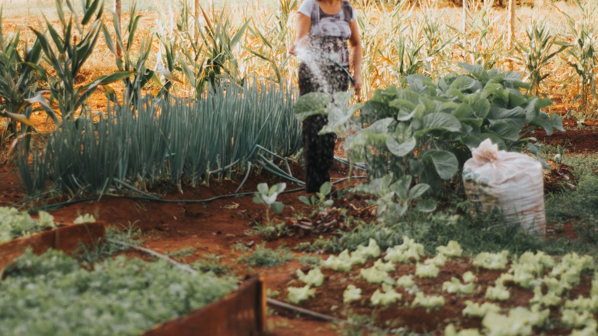 How to Design a Low-Maintenance Front Garden