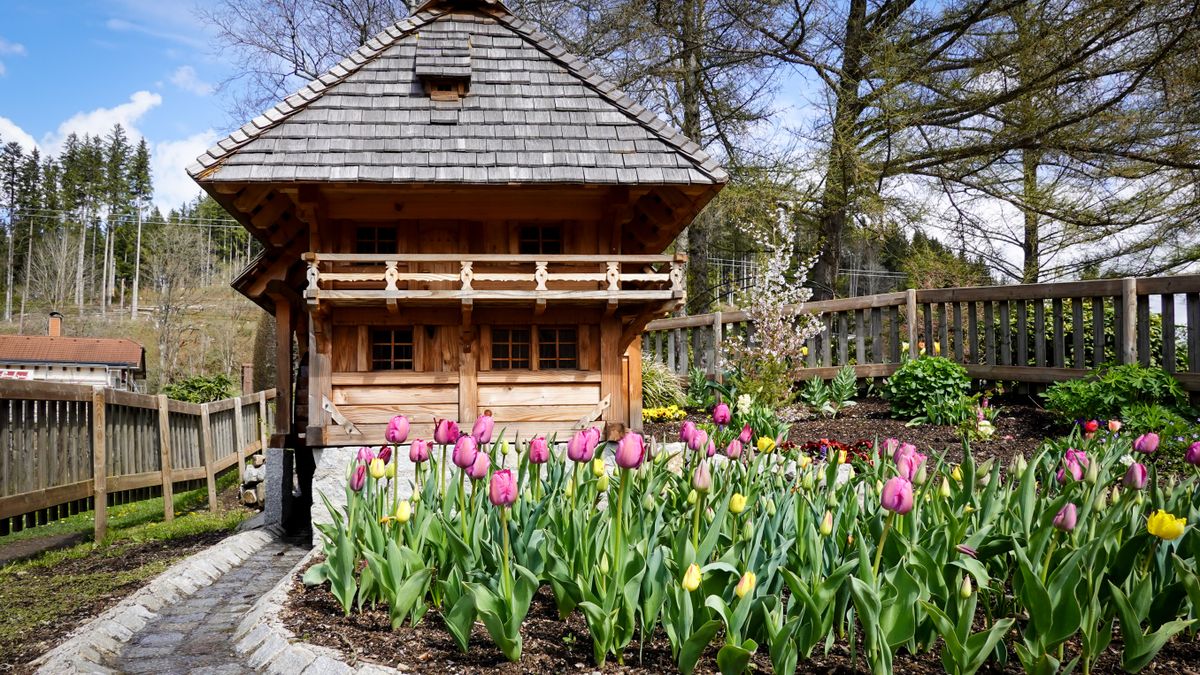 Make a Small Balcony Feel Like a Garden