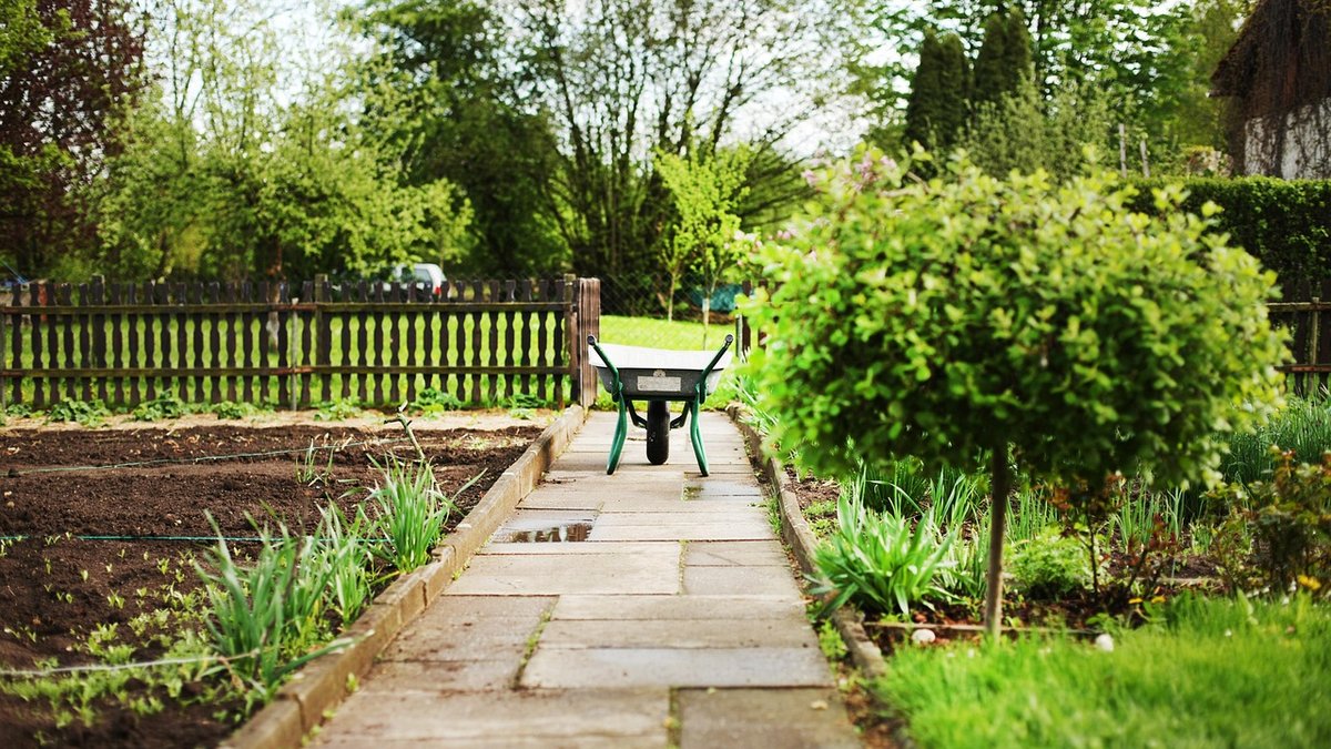 Planting Spring Bulbs in Garden Containers