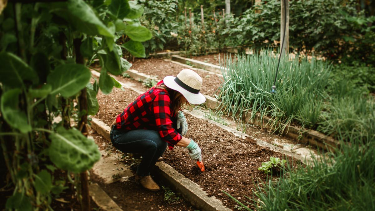 Sharpening and Storing Garden Tools Properly